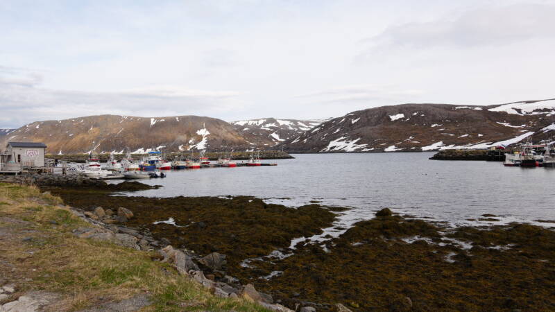 dsc09909-standard.jpg