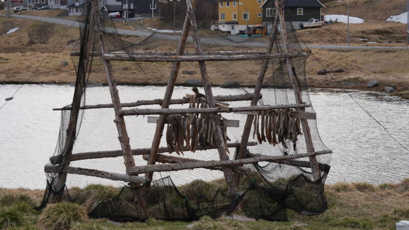 dsc09914-standard.jpg
