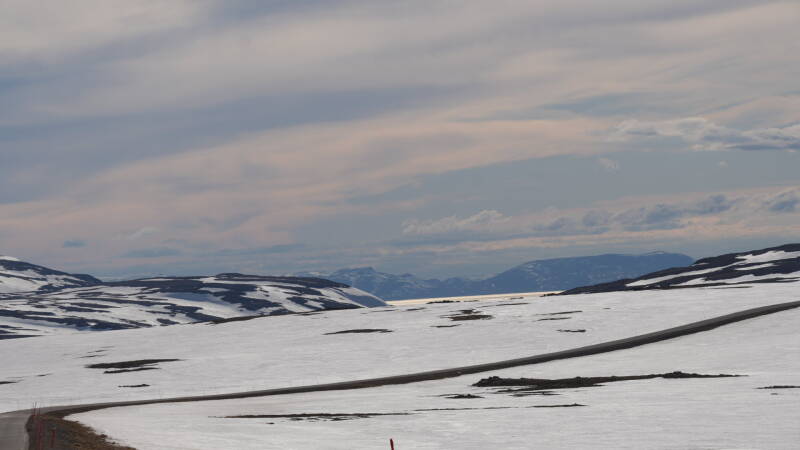 dsc09920-standard.jpg