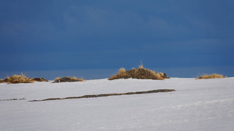 dsc09924-standard.jpg