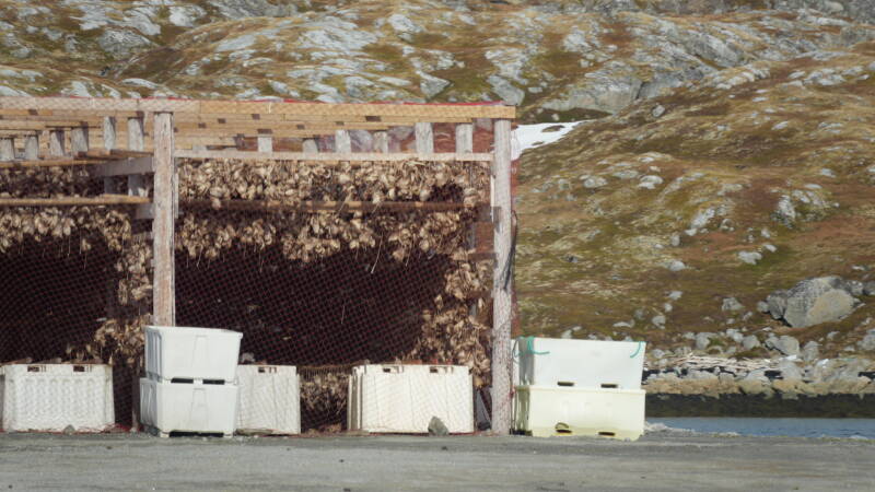 dsc09956-standard.jpg