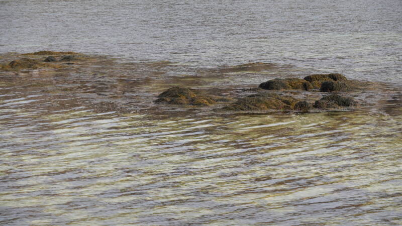 dsc09958-standard.jpg