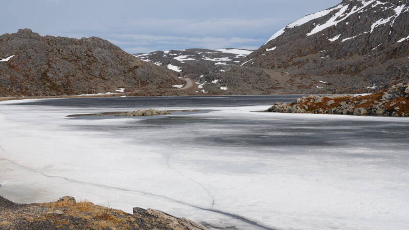 dsc09966-standard.jpg