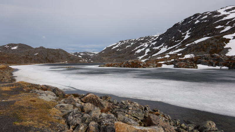 dsc09968-standard.jpg