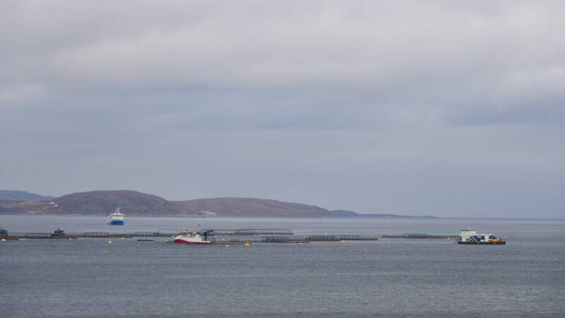 dsc09978-standard-jl374f.jpg