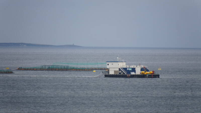 dsc09979-standard-st871a.jpg
