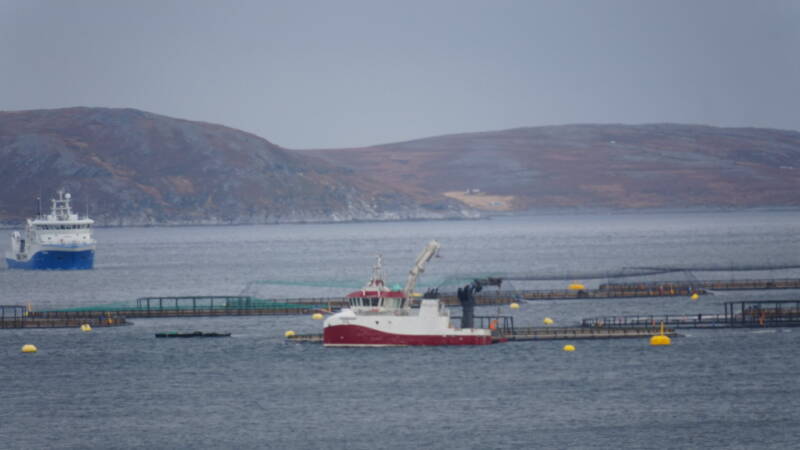 dsc09980-standard-kge3pg.jpg