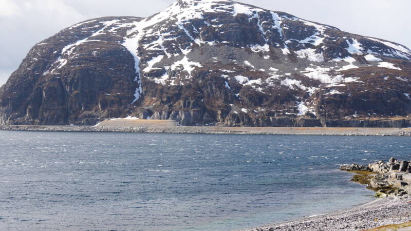dsc09991-standard.jpg