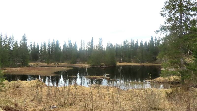 img-20260421-wa0007-standard.jpg