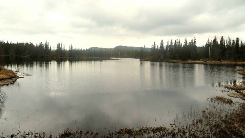img-20260421-wa0008-standard.jpg