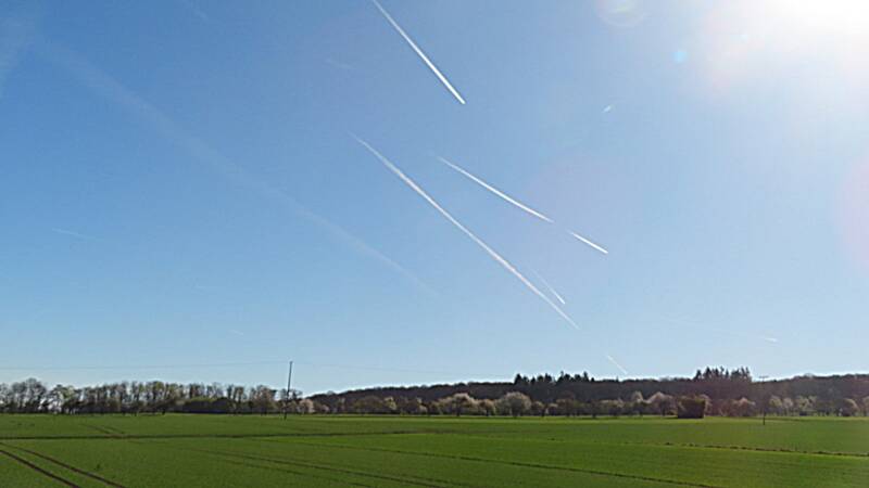 img_1739-standard.jpg