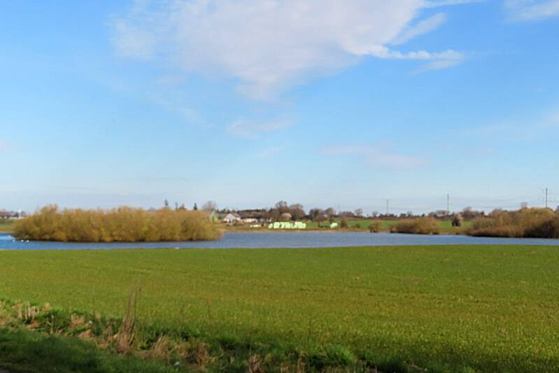 img_1790-standard.jpg