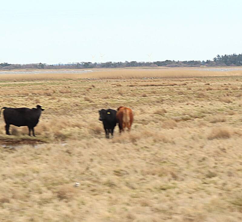 img_1832-standard.jpg