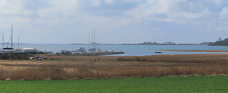 img_1917-standard.jpg