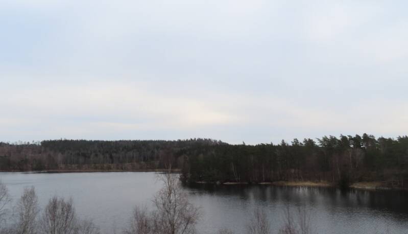 img_2010-standard.jpg