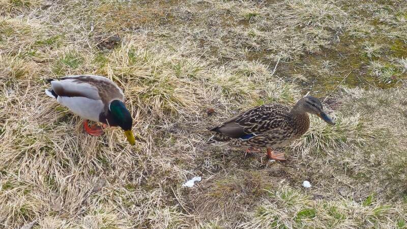 img_20260508_170441_238-standard.jpg