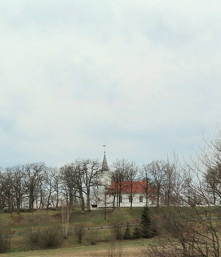 img_2037-standard-q3h82g.jpg