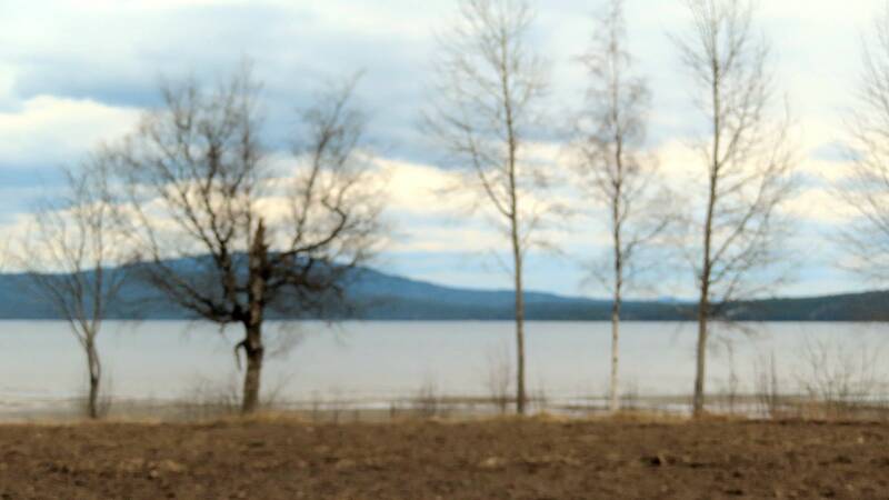 img_2109-standard.jpg