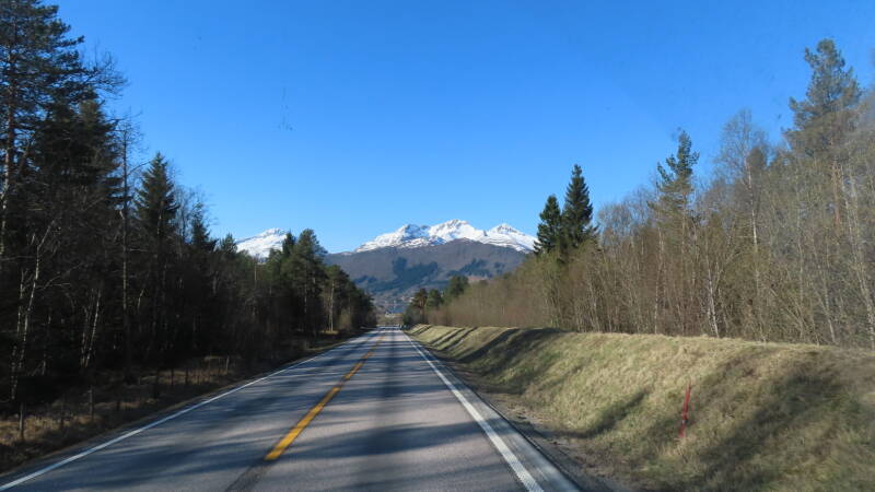 img_2236-standard-s9z417.jpg