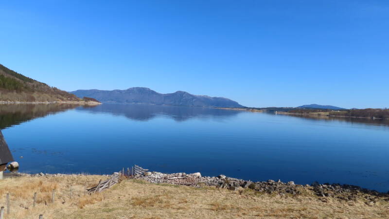 img_2250-standard-1bg5m1.jpg