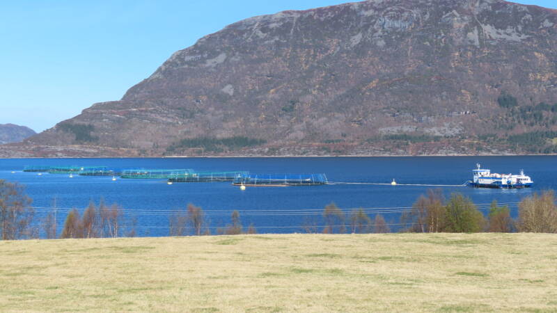 img_2264-standard.jpg