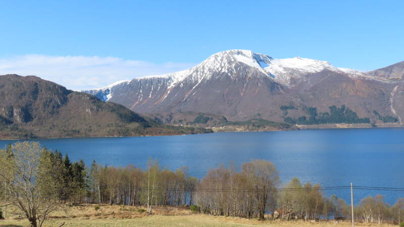 img_2274-standard.jpg