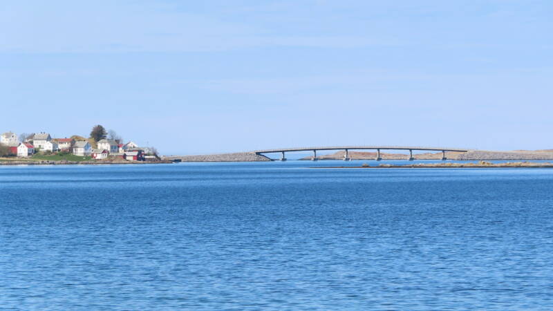 img_2295-standard.jpg