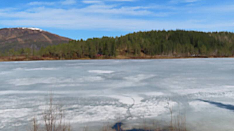 img_2413-standard.jpg