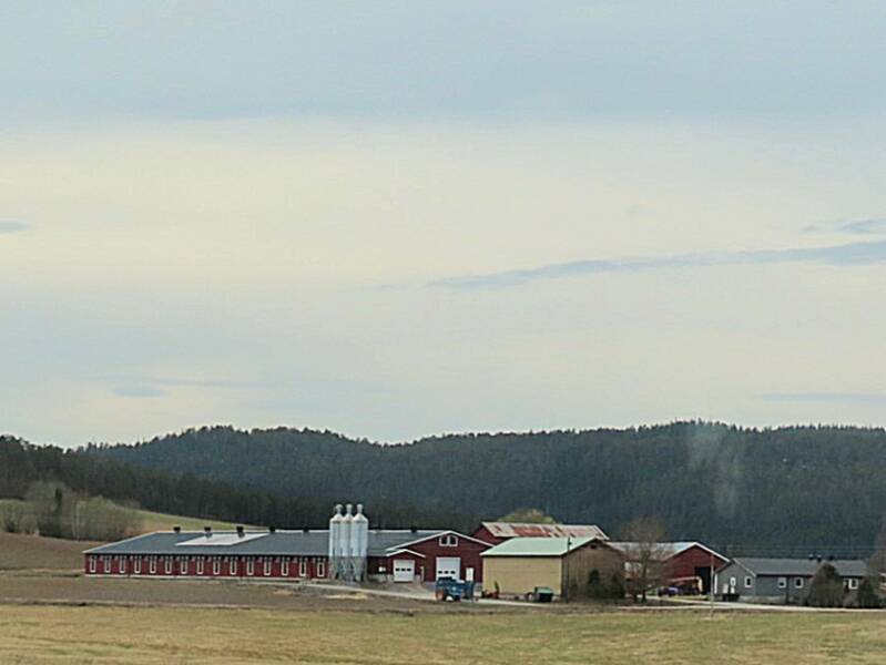 img_2511-standard.jpg