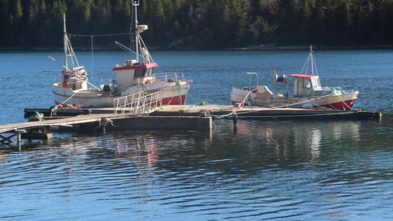 img_2651-standard.jpg