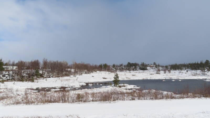 img_2943-standard.jpg