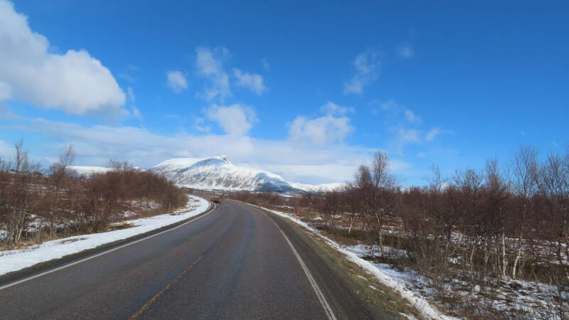 img_3015-standard.jpg