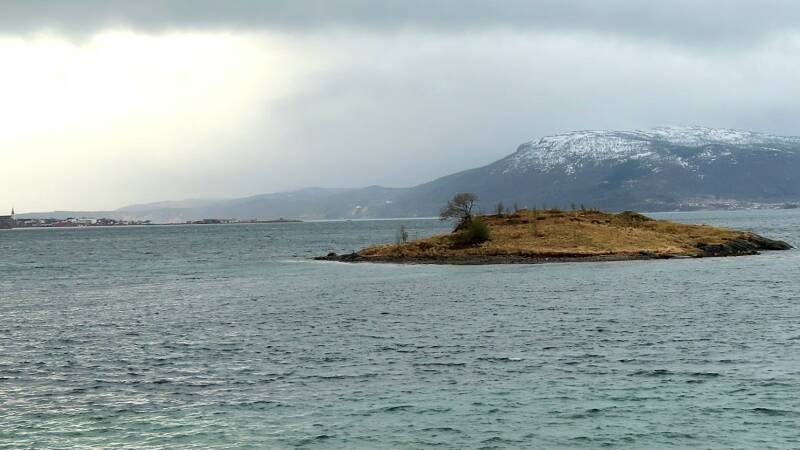 img_3206-standard.jpg