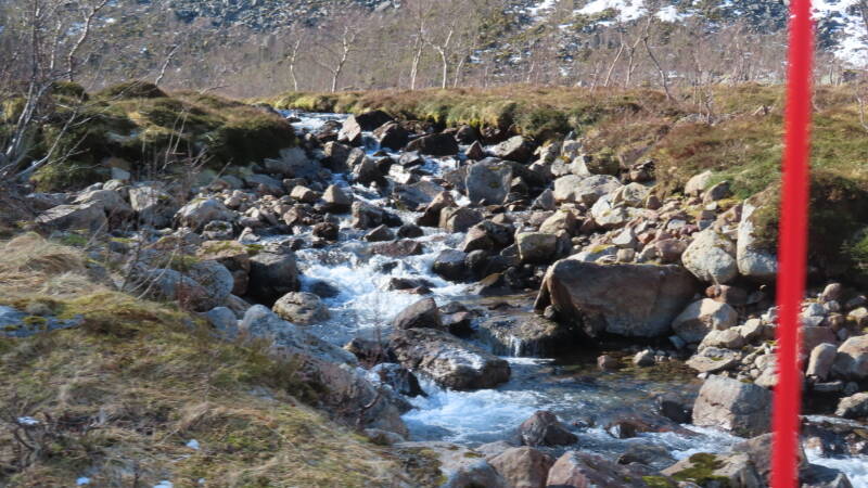 img_3496-standard.jpg