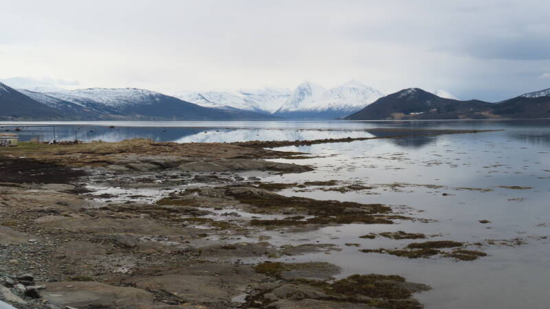 img_3570-standard.jpg