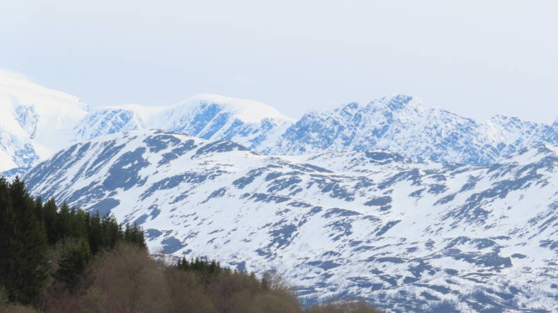 img_3575-standard.jpg