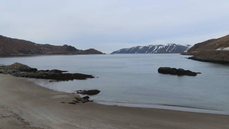 img_3803-standard.jpg