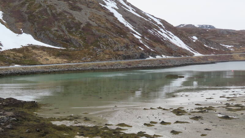 img_3804-standard.jpg