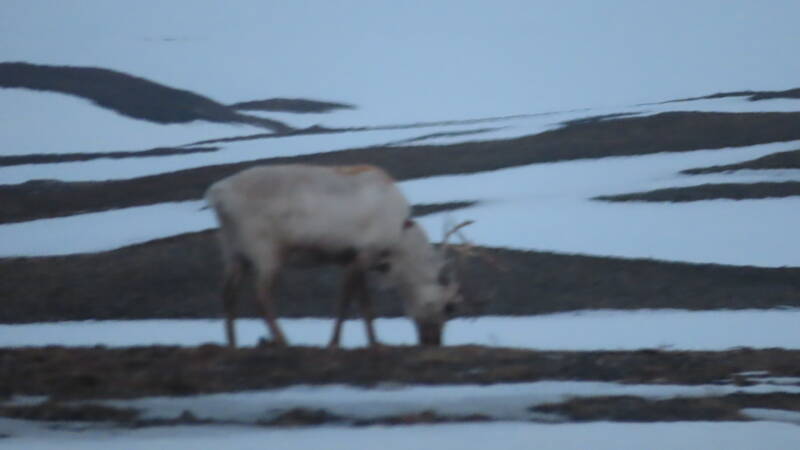 img_3828-standard.jpg