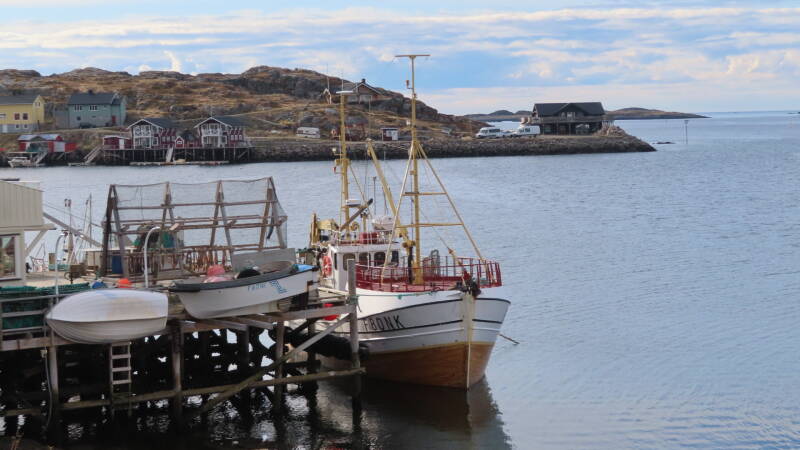 img_3941-standard.jpg