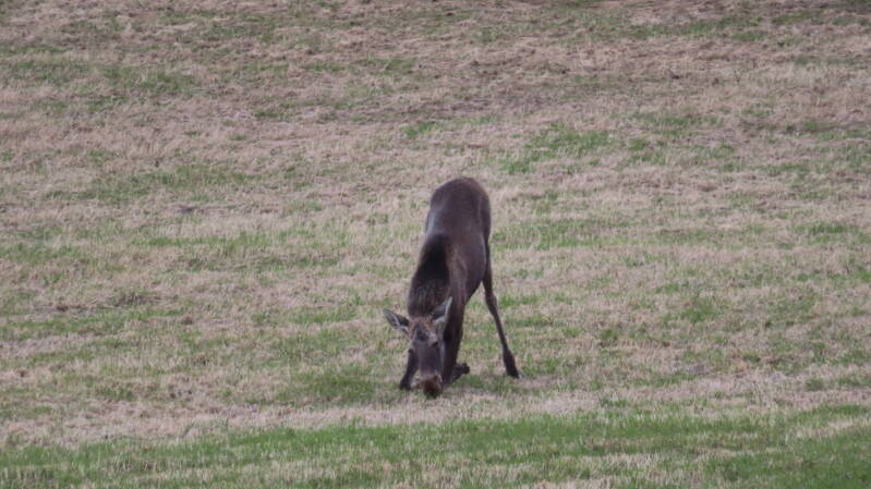 img_4013-standard.jpg