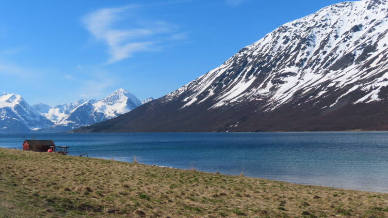 img_4176-standard.jpg