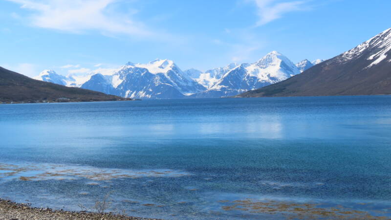img_4179-standard.jpg