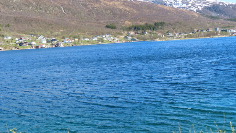 img_4295-standard.jpg