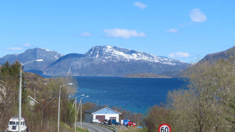 img_4303-standard.jpg