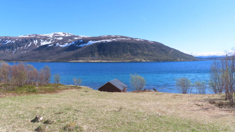 img_4307-standard.jpg