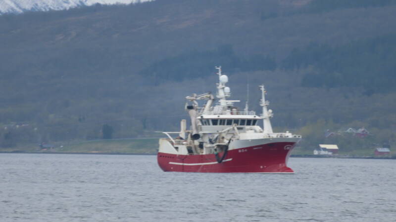 img_4447-standard.jpg