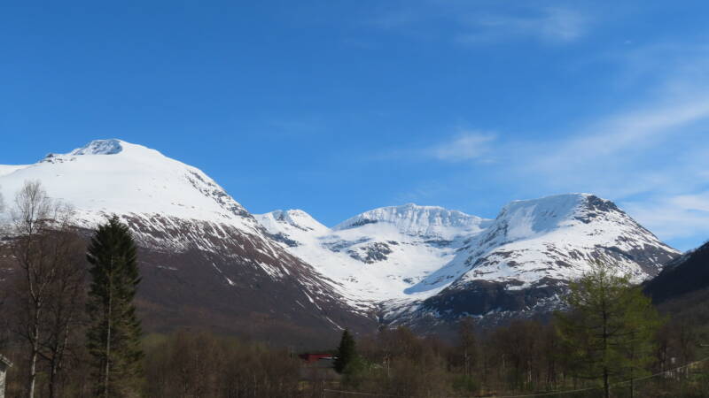 img_4469-standard.jpg