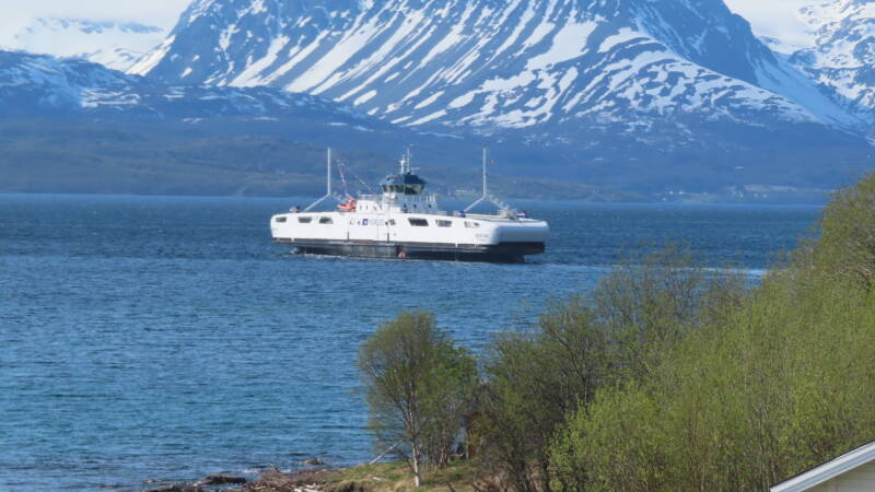 img_4480-standard.jpg