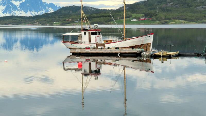 img_4603-standard.jpg